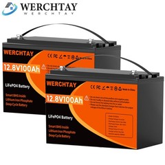 24V 100Ah LiFePO4 Battery Lithium 2Pack 12V 100Ah BMS Solar For Boat RV Off-grid