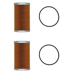 3653390M1 Qty 2: Fuel Filter Fits Massey Ferguson 1125 1140 1145 1240 1250 1260