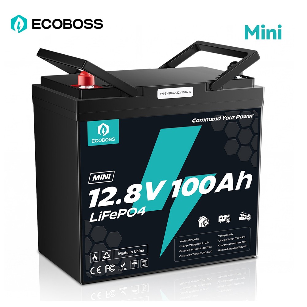 12V 100Ah LiFePO4 Lithium Battery Mini Deep Cycle for Solar RV Trolling Motor