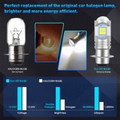 2X 6000K White LED Light Bulbs for Yanmar 2820 F20 FX20; double 12V 194550-55810