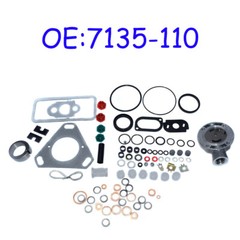 New Injection Pump Repair Kit For 7135-110 FORD Massey Ferguson 3 4 & 6 Cyl