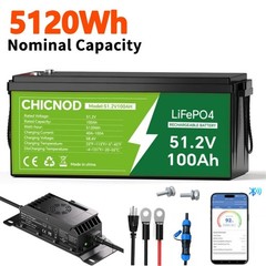 Bluetooth 48V 100Ah Lithium LiFePO4 Battery 100Ah with BMS + 58.4V 20A Charger