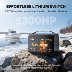 LiTime 12V 140Ah Dual Purpose LiFePO4 Battery CCA 900 1792Wh For Marine RV Solar