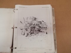 Detroit Diesel Series v-71 Service Manual Sections 1-3 6SE163 Oct 1989