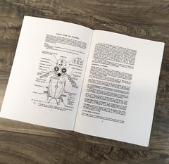 BSA A65 Thunderbolt Motorcycle Operators Manual Owners Book Construction Twin