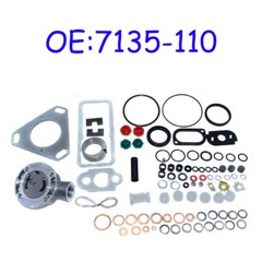 New Injection Pump Repair Kit For 7135-110 FORD Massey Ferguson 3 4 & 6 Cyl
