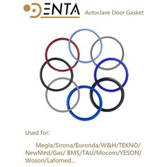 NSK DXP Domina PLUS B Autoclave door gasket for 8L 2L15L16L17-23L18L 22 L