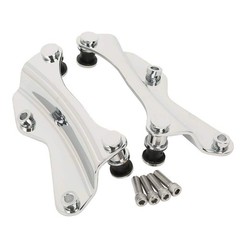 Detachable Passenger Sissy Bar with Luggage Rack and 4Pt Docking Hardware
