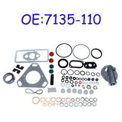 New Injection Pump Repair Kit For 7135-110 FORD Massey Ferguson 3 4 & 6 Cyl