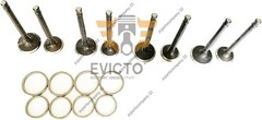 Overhaul Rebuild Kit for Isuzu Engine C240 C240PKJ C240PKG Komatsu Forklift FD15