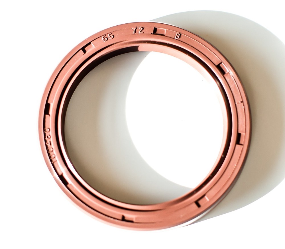 EAI 55x72x8mm FPM/FKM Oil Shaft Rotary Seal w/ Stainless Steel Spring Dbl Lip