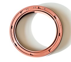 EAI 55x72x8mm FPM/FKM Oil Shaft Rotary Seal w/ Stainless Steel Spring Dbl Lip