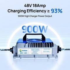 DC HOUSE 48V 100AH Golf Cart Lithium LiFePO4 Battery with 18A Charger Club Car