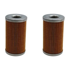 3653390M1 Qty 2: Fuel Filter Fits Massey Ferguson 1125 1140 1145 1240 1250 1260