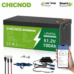 48V 100Ah Lithium LiFePO4 Battery Built-in BMS Deep Cycle with 58.4V 20A Charger