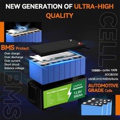 12V 300Ah LiFePO4 Lithium Battery for Solar Back Up System Marine Build in BMS