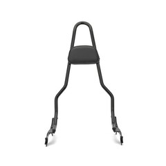 22.25″ One-Piece Passenger Sissy Bar w/Pad Detach Fat Bob 2018-2024 Gloss Black