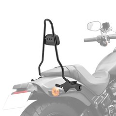 22.25″ One-Piece Passenger Sissy Bar w/Pad Detach Fat Bob 2018-2024 Gloss Black