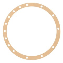 183254M1 Massey Ferguson 35 50 65 135 150 165 175 180 Rear Axle Housing Gasket
