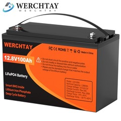 12V 100Ah LiFePO4 Battery Lithium 15000+ Cycles BMS for RV Solar Marine Off Grid