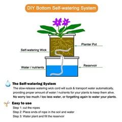 ORIMERC 50ft 1/4 inch Plants Self Watering 50 feet (1/4 inch), 50