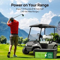 12V 55Ah LiFePO4 Lithium Battery With BMS for Scooter Fish kid car RV Motor