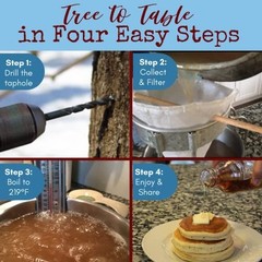 Maple Syrup Tapping Kit – 10 Spiles, 10 Tubes, 2 Filters, BPA Free, Instructions