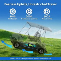 12V 55Ah LiFePO4 Lithium Battery With BMS for Scooter Fish kid car RV Motor