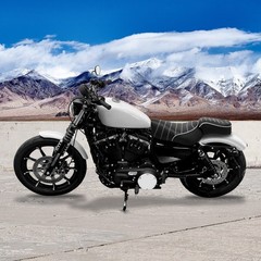 Two-Piece Front Rider Seat Rear Pillow Seat for Sportster Iron 883 2016-2022