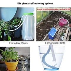 ORIMERC 50ft 1/4 inch Plants Self Watering 50 feet (1/4 inch), 50