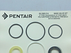 Pentair 06.3365.014 Main Valve Kit Crosby 06-3365-014