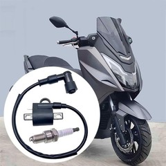 Ignition Coil and Spark Plug for 50cc 90cc 110cc 125cc 150cc 200cc 250cc ATV
