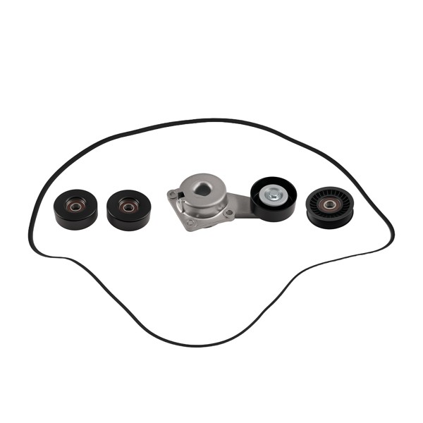 Serpentine Belt Drive Component Kit fit for Ford F150 5.4L 2009-2010 1L2Z6C348AA