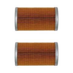 3653390M1 Qty 2: Fuel Filter Fits Massey Ferguson 1125 1140 1145 1240 1250 1260