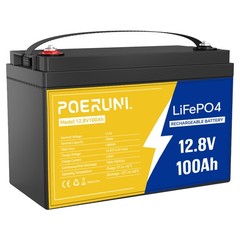 12V 100Ah LiFePO4 Lithium Battery 8000+ Deep Cycle BMS for Solar RV Off-grid