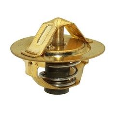 Thermostat with gasket – 160° Fits Ford 1500 1700 1900 1910 2110 SBA145206011