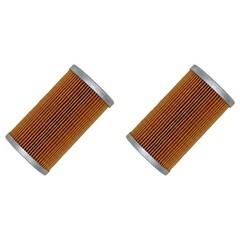 3653390M1 Qty 2: Fuel Filter Fits Massey Ferguson 1125 1140 1145 1240 1250 1260