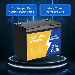 12V 100Ah LiFePO4 Lithium Battery 8000+ Deep Cycle BMS for Solar RV Off-grid