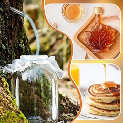 Maple Syrup Tapping Kit – 6 Stainless Steel Tree Taps, 2 Sap Filters, 20FT Tube