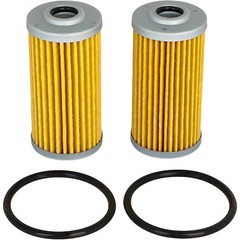 2X Fuel Filter for Massey Ferguson 1735E 1739E 1739E 1740E 1825E 1E25 GC1705