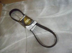 BT13) Genuine Dayco Belt 5080485