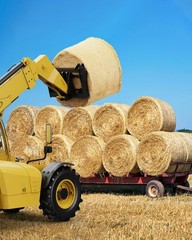49″ Hay Spear 4500lbs Capacity Quick Attach Square Bale Spike + 2 Stabilizer Spe