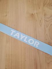 TAYLOR last name decal sticker vinyl (2) PAIR Gloss WHITE 8″ FAST USA