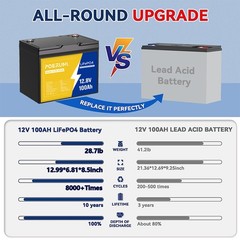 NEW 12V 100Ah LiFePO4 Lithium Battery 1280Wh Built-in 100A BMS 8000+ Cycle Deep
