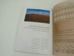 Asgrow Northern Seed Technology 2000 Brochure Catalog