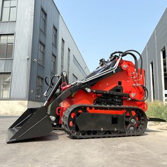 Mini Skid Steer Loader 24HP Gas EPA Rato Engine with Bucket Multiple Attachments