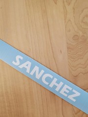 SANCHEZ last name decal sticker vinyl (2) PAIR Gloss WHITE 8″ FAST USA