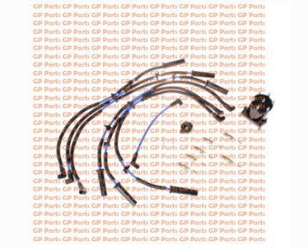 LPM 310-2063, TUNE-UP KIT – MAJOR (GM 4.3L Late)
